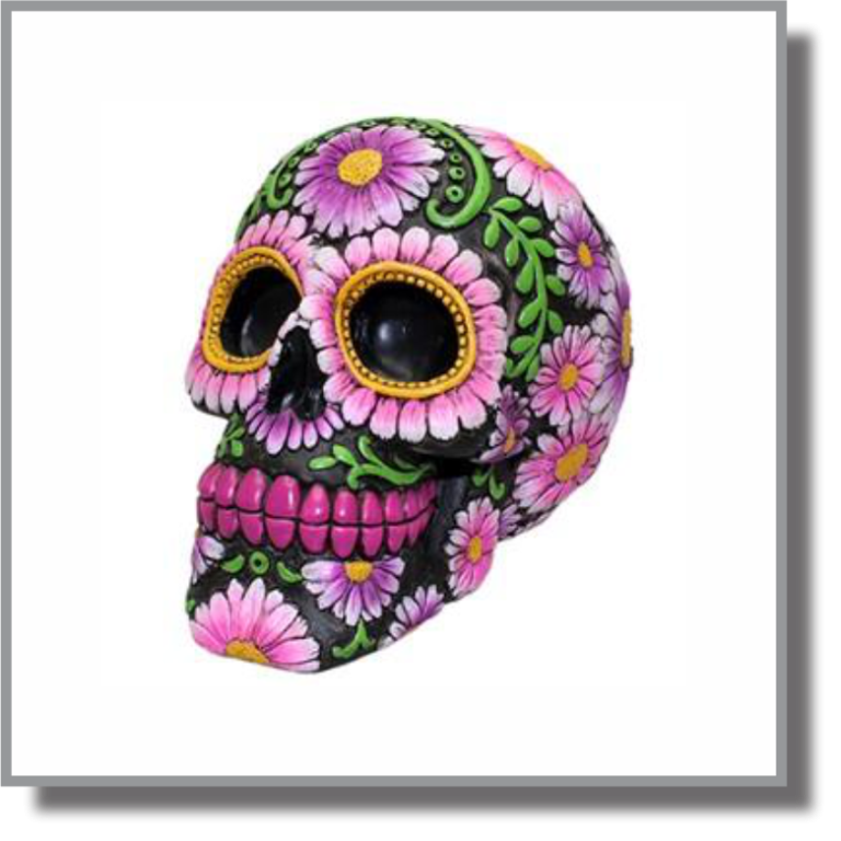 Black /Pink Skull Bank CB Wholesale